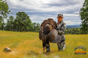 Mid-day Wild Turkey Hunt Success
